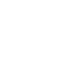 プログラム・リザルト